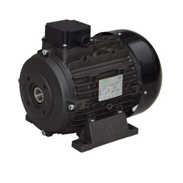 7.5 HP, 1450 RPM, 3 Phase, Hollow Shaft Motor